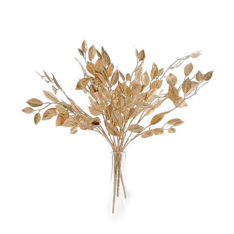 Plants & Pampas